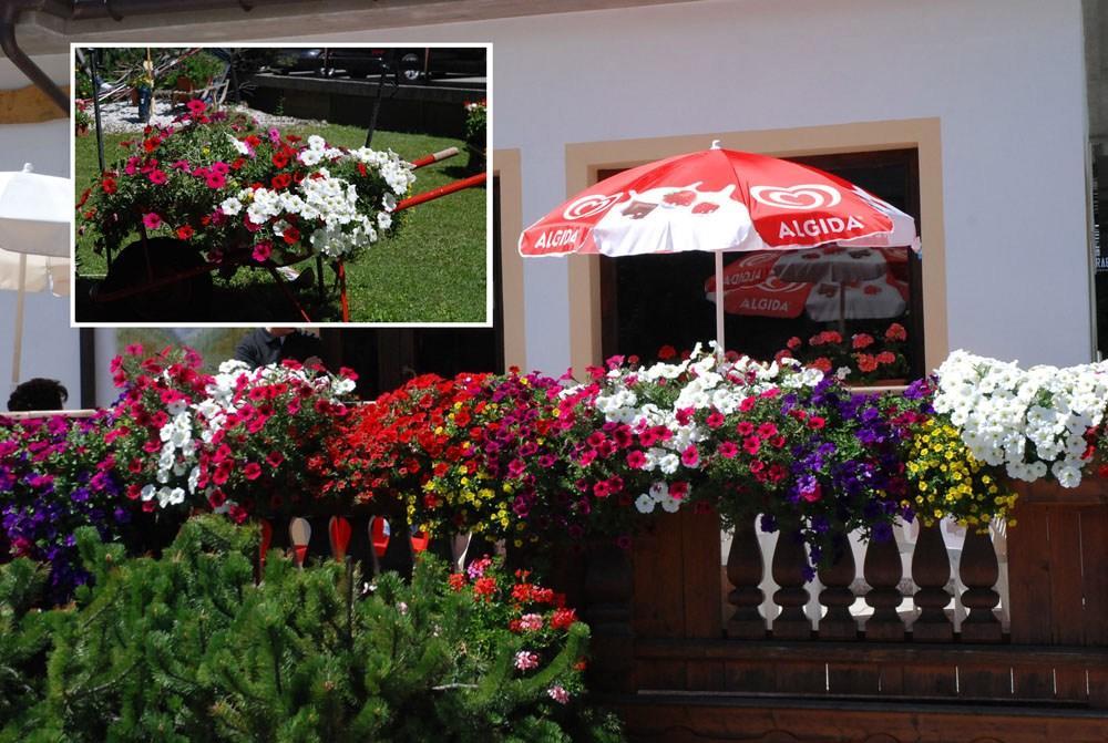 أبريكا Hotel Posta المظهر الخارجي الصورة
